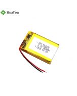 500mAh Li-Polymer Battery For Car Navigation Instrument