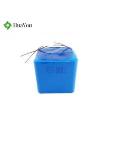 Lithium Polymer Battery