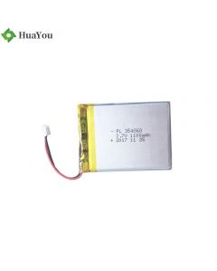 Customized LiPo Battery