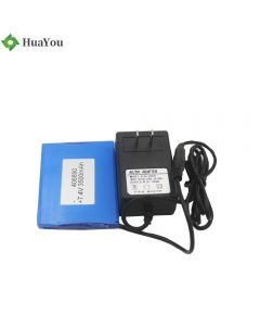 Customized Rechargeable Battery