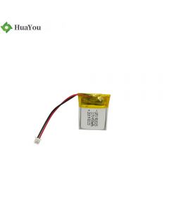 China Li-ion Factory OEM Beauty Instrument Battery HY 902025 3.7V 450mAh Lipo Battery