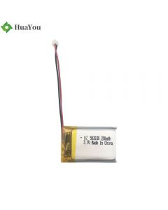 2900mah Li-Ion Battery