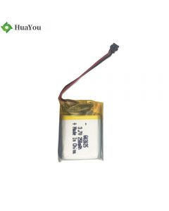OEM Li-Polymer Battery