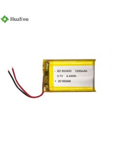 2200mah Polymer Li-Ion Battery