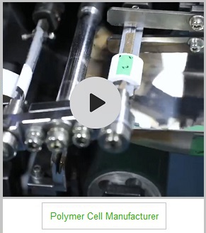 polymer cells manufacturer