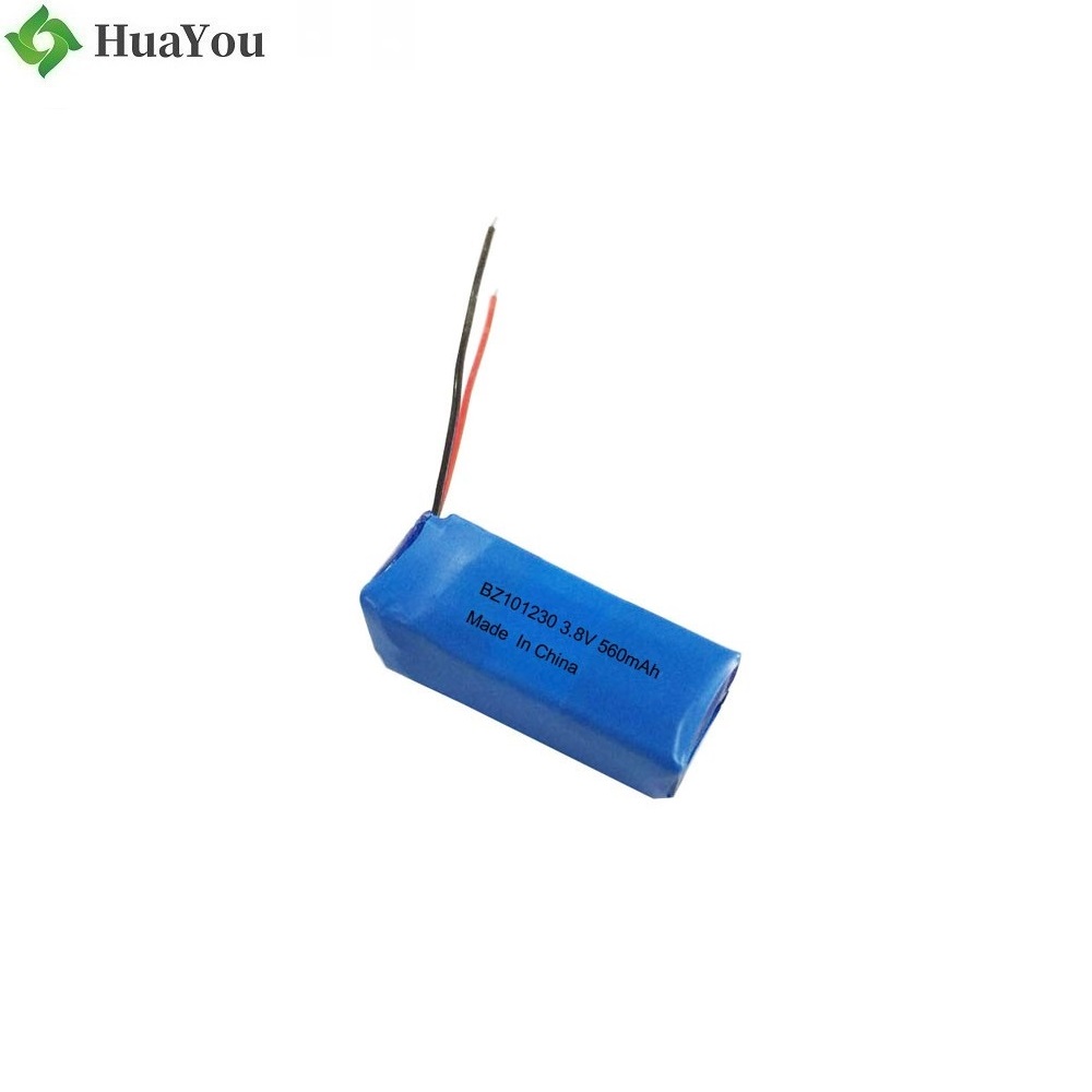 Customized LiPo Battery