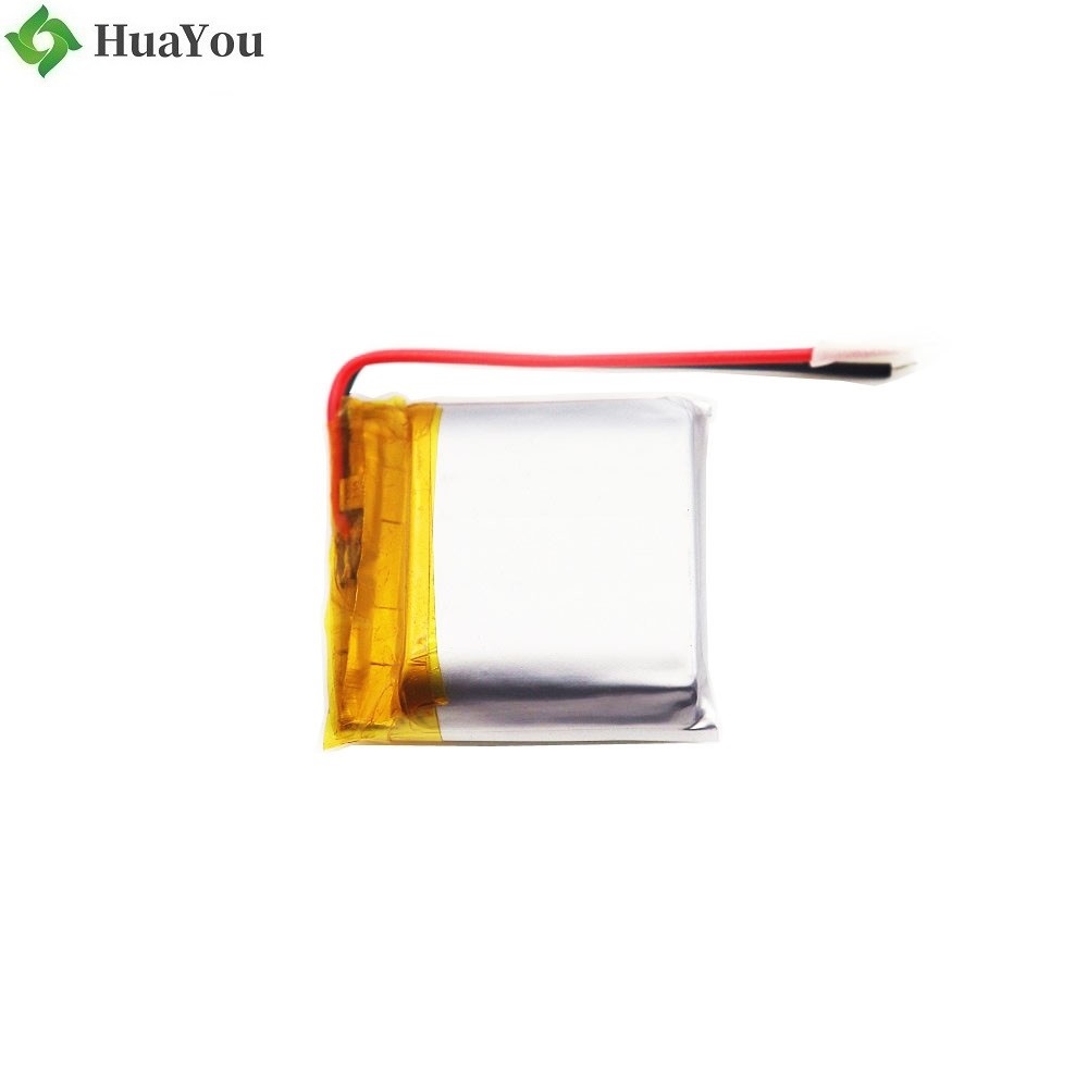 900mAh 3.7V Li-Polymer Battery
