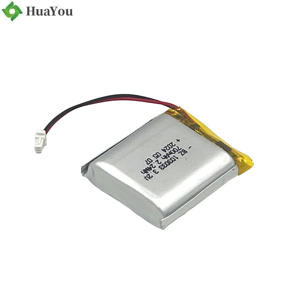 3.2V 700mAh LiFePO4 Battery