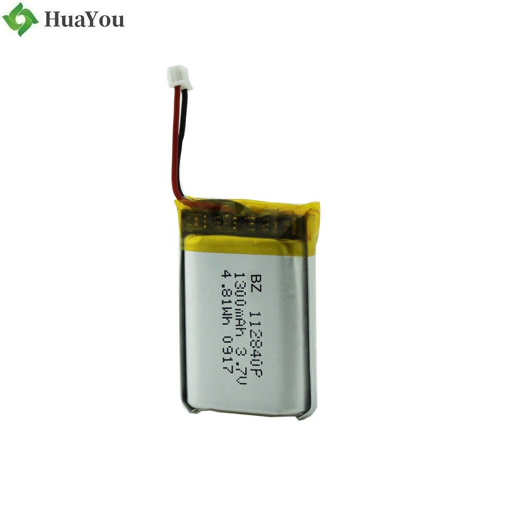 Li-ion Polymer Battery Pack