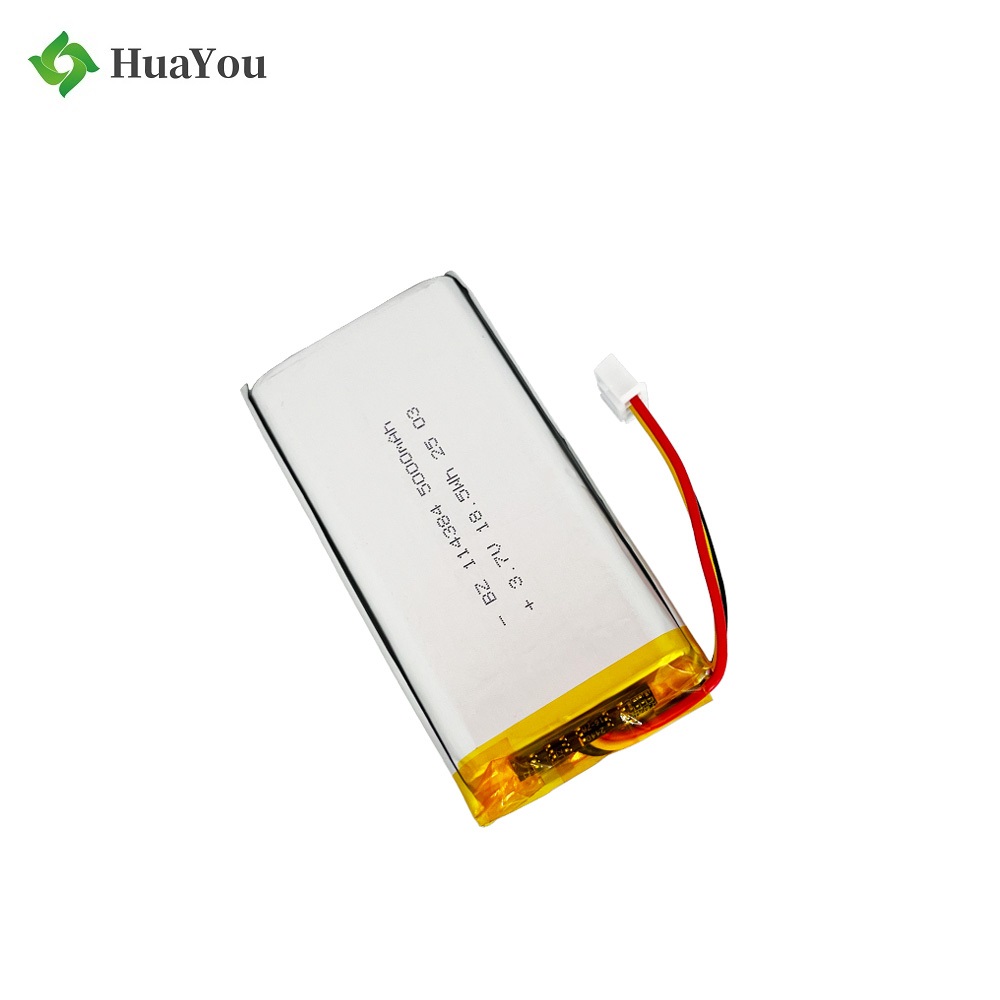 Li-Polymer Battery