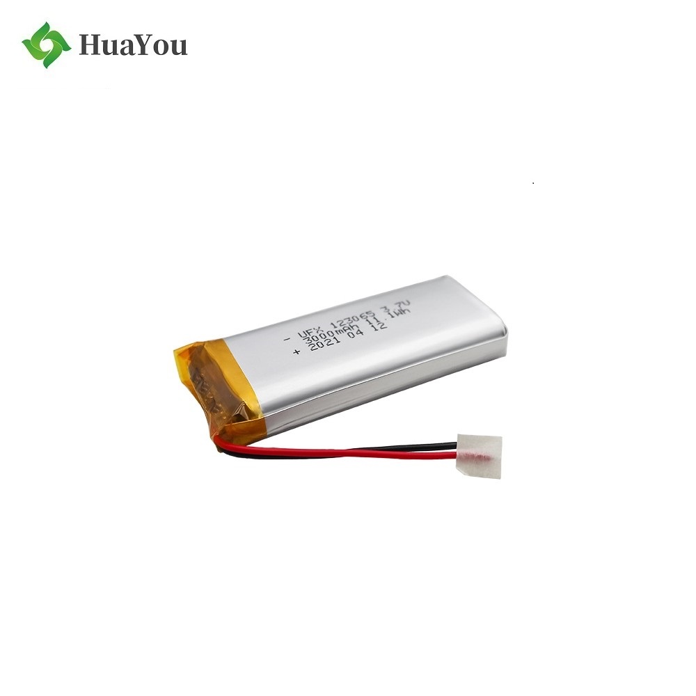 3000mAh Tire Pressure Detector Li-polymer Battery