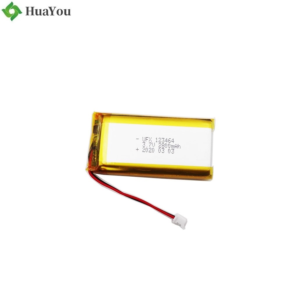 123464 2800mAh 3.7V Li-Polymer Battery