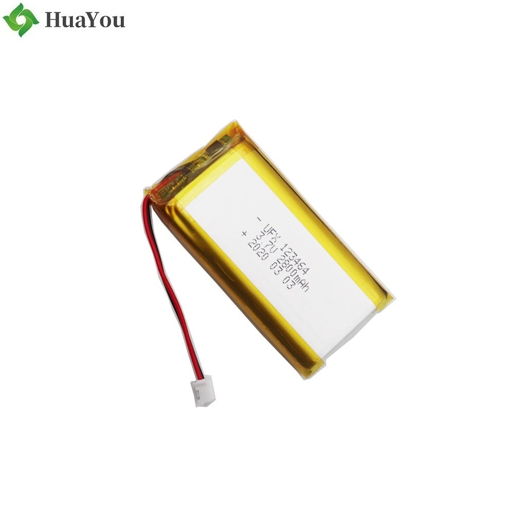 123464 2800mAh 3.7V Li-Polymer Battery