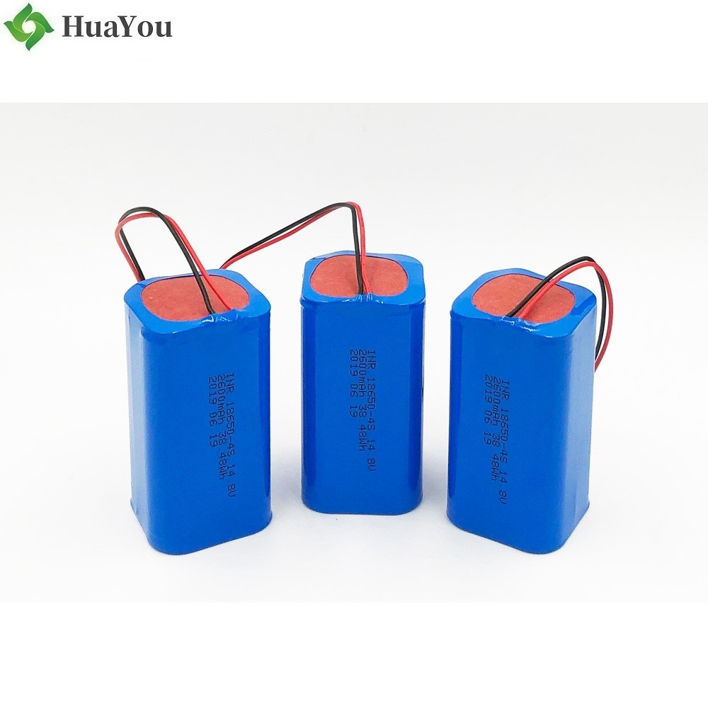 2600mAh Lithium-ion Battery Pack
