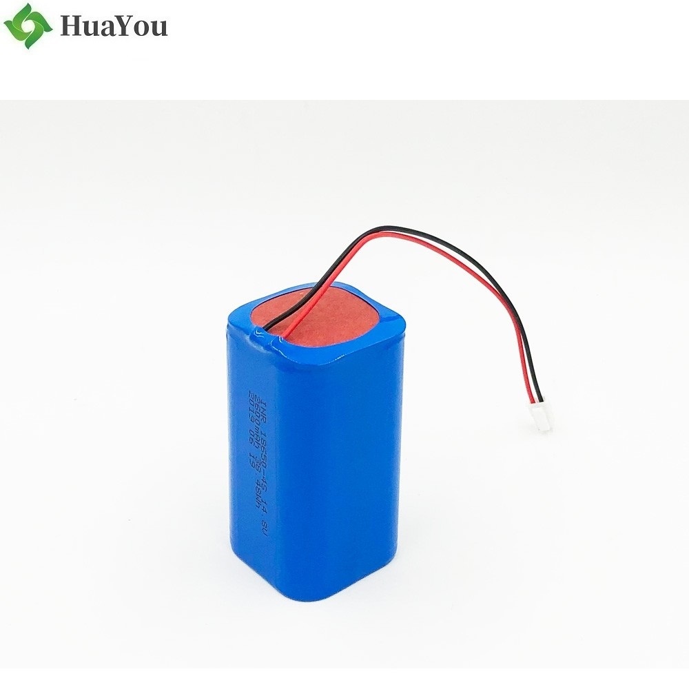 2600mAh High performance Lithium-ion Battery Pack 