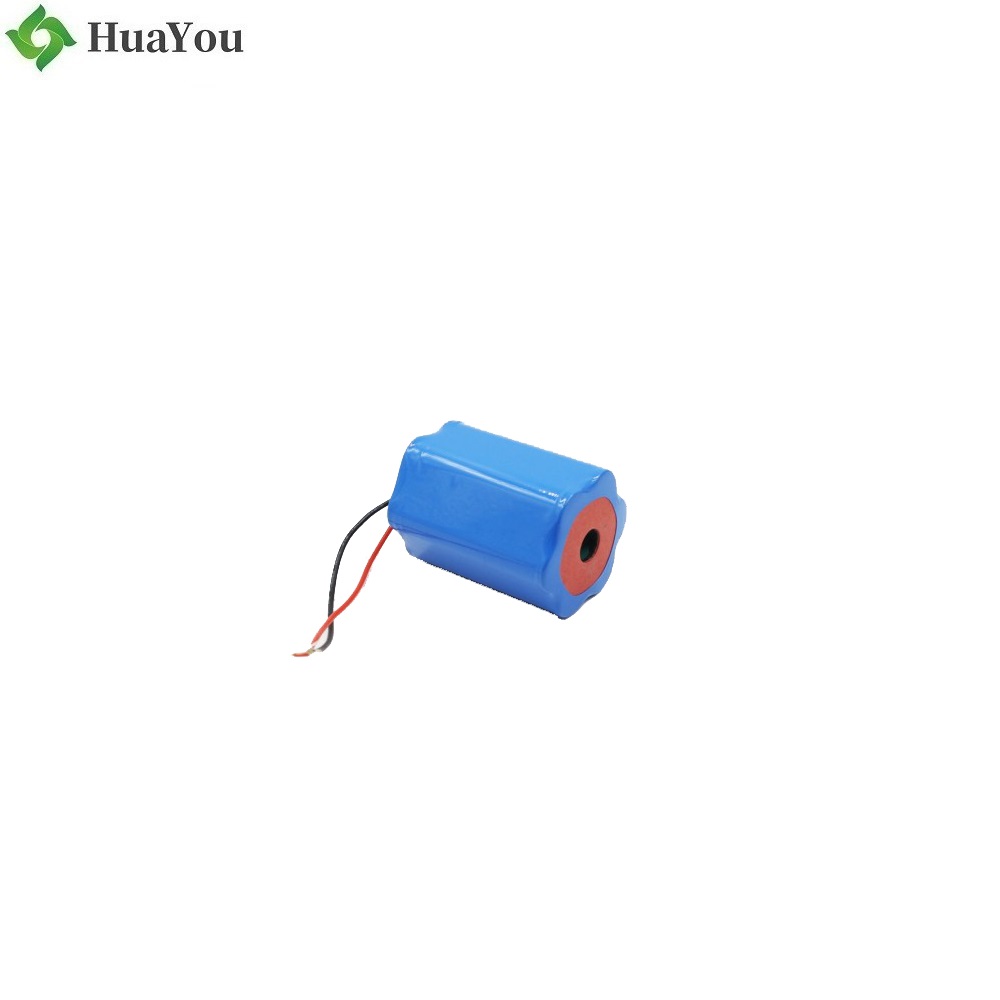 Special Lipo Battery - 18650 - 6S - 2200mAh - 22.2V - Lithium Ion Battery - Rechargeable