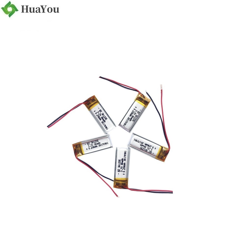 LiPo Battery