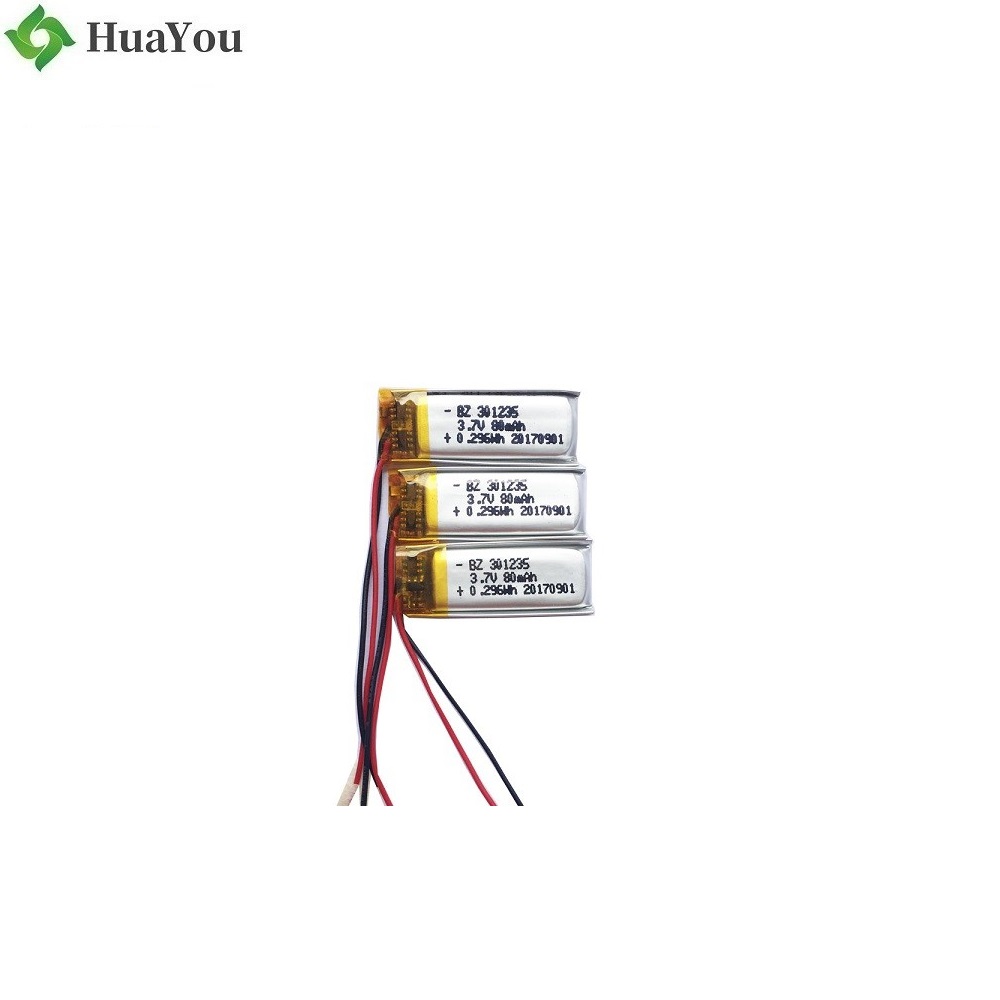 Rechargeable LiPo Battery