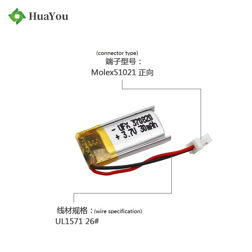 ShenZhen Factory Sales 30mAh Li-polymer Battery