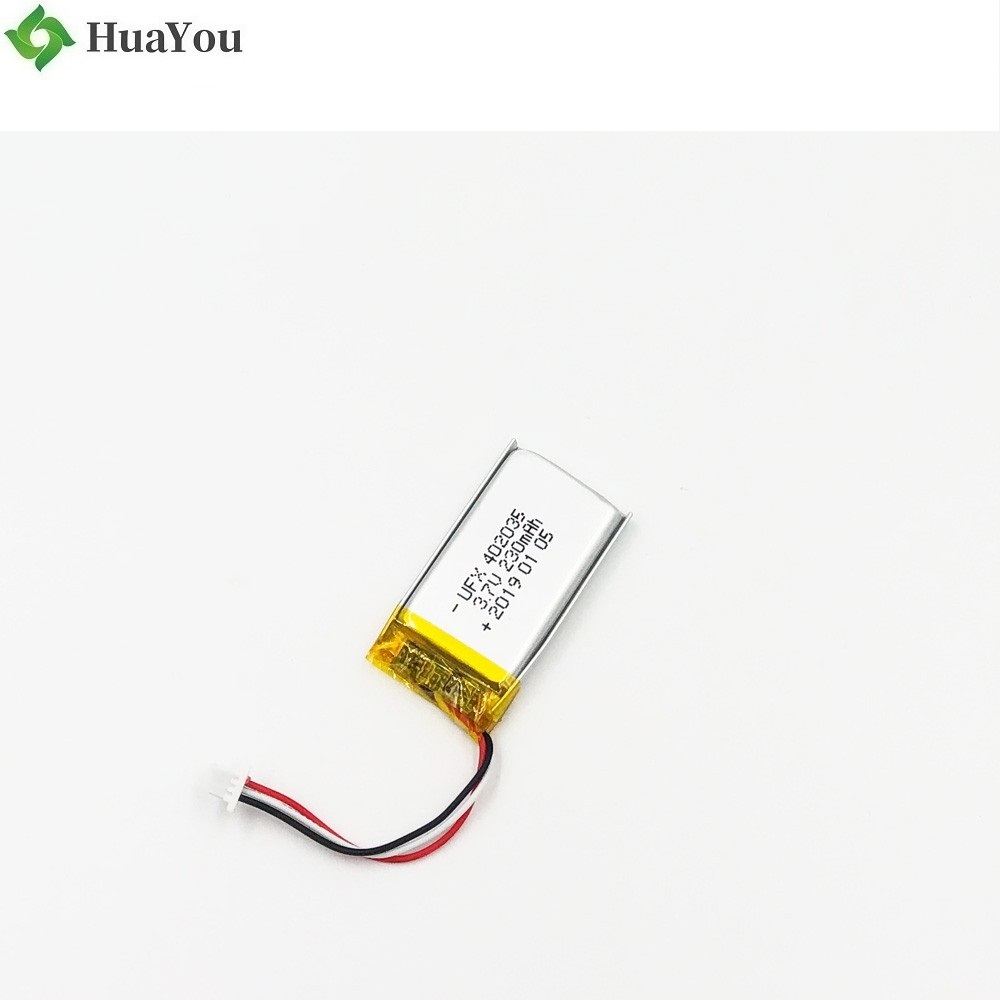 Battery For Electric Mosquito Swatter