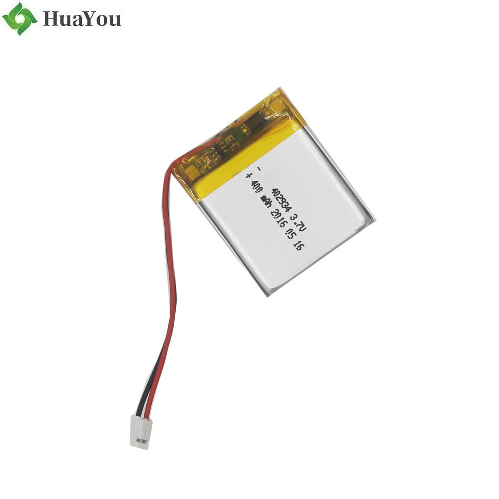 Customized Li-Polymer Battery 