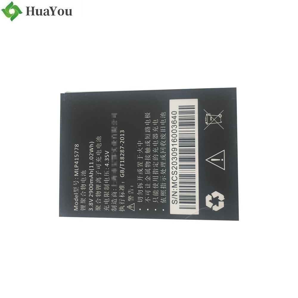 2900mah Li-Ion Battery