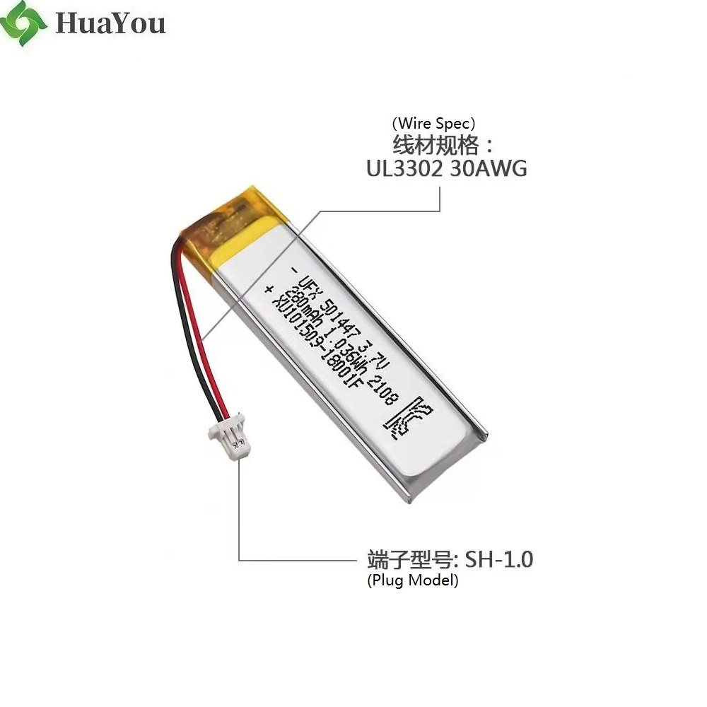 501447 Batteries for Laser Pointer