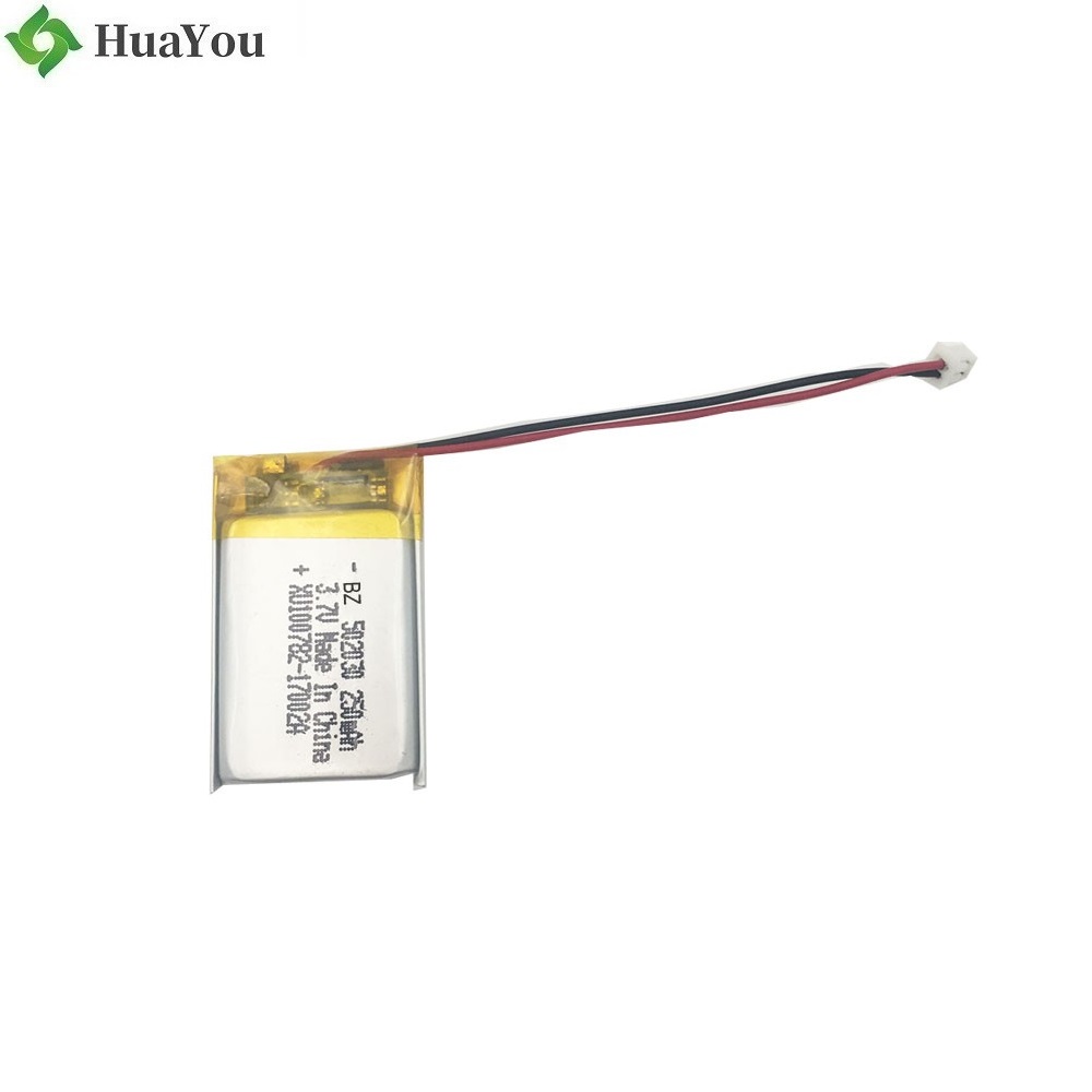 Li-Polymer Battery