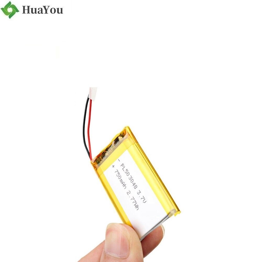 750mAh 3.7V Li-polymer Battery