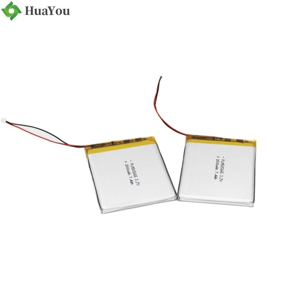 Customized Lipo Battery