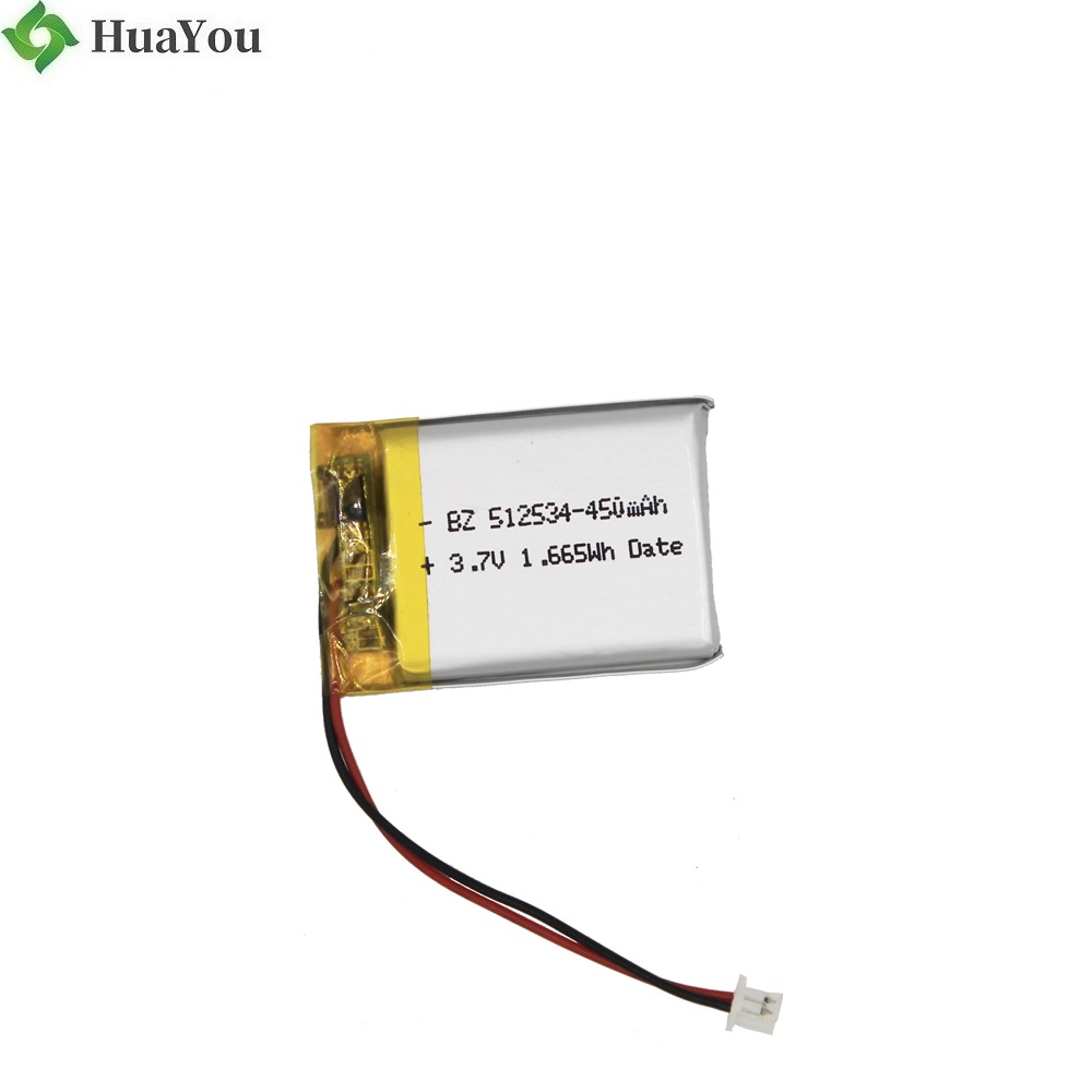 China Factory Wholesale High Quality 450mAh Battery