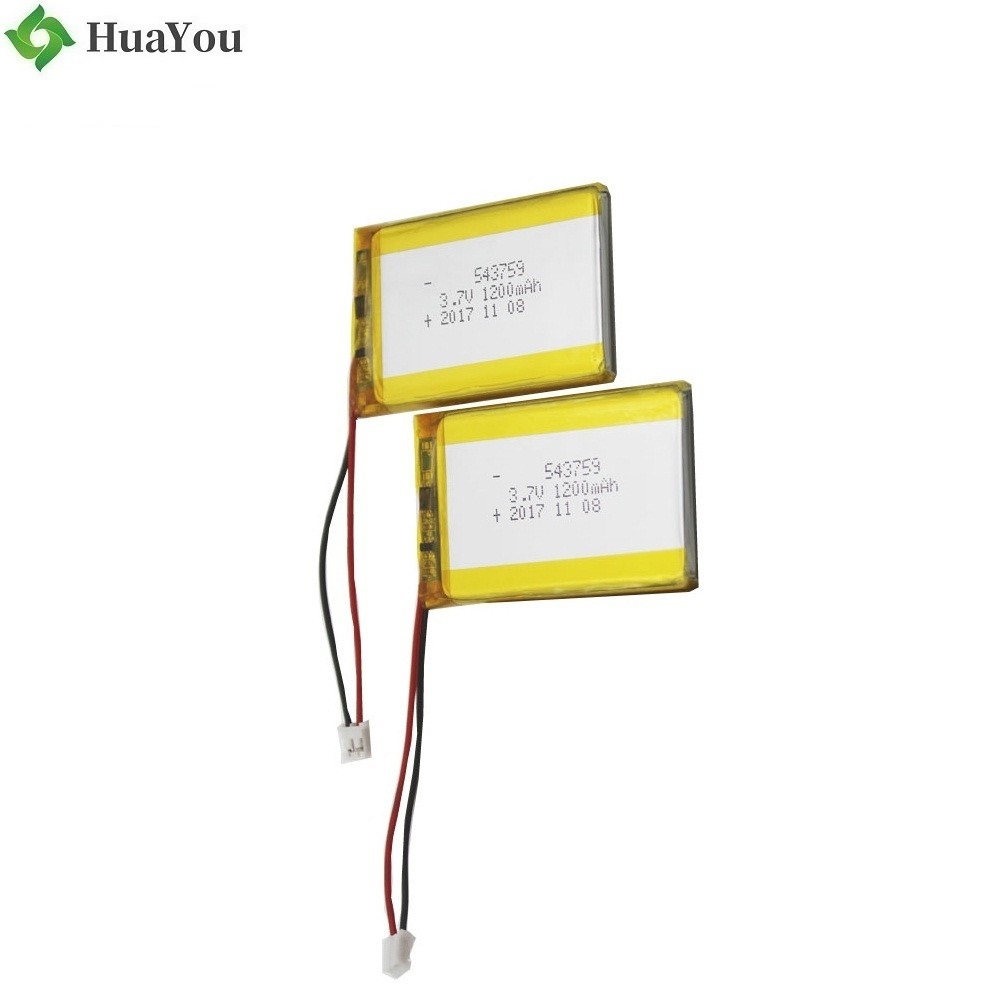 OEM Rechargeable Li-ion Polymer Batteries For GPS
