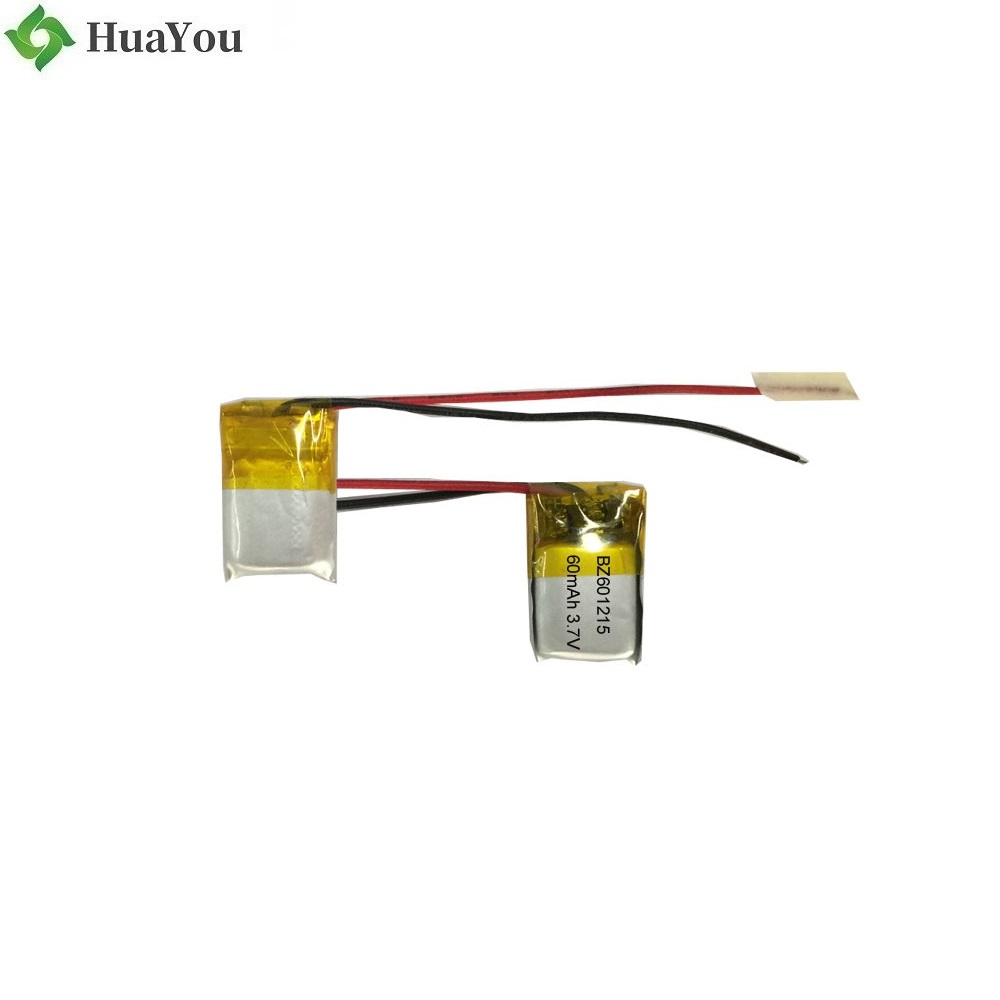OEM LiPo Battery