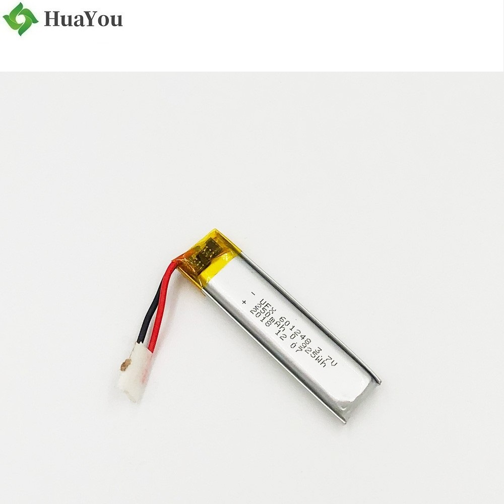 Li-Polymer Battery