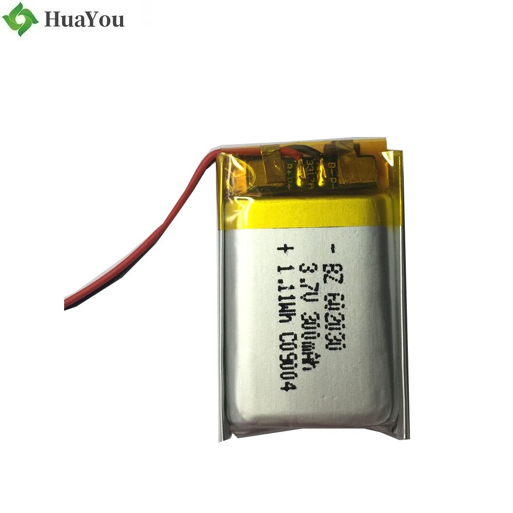 China Li-ion Battery Manufacturer