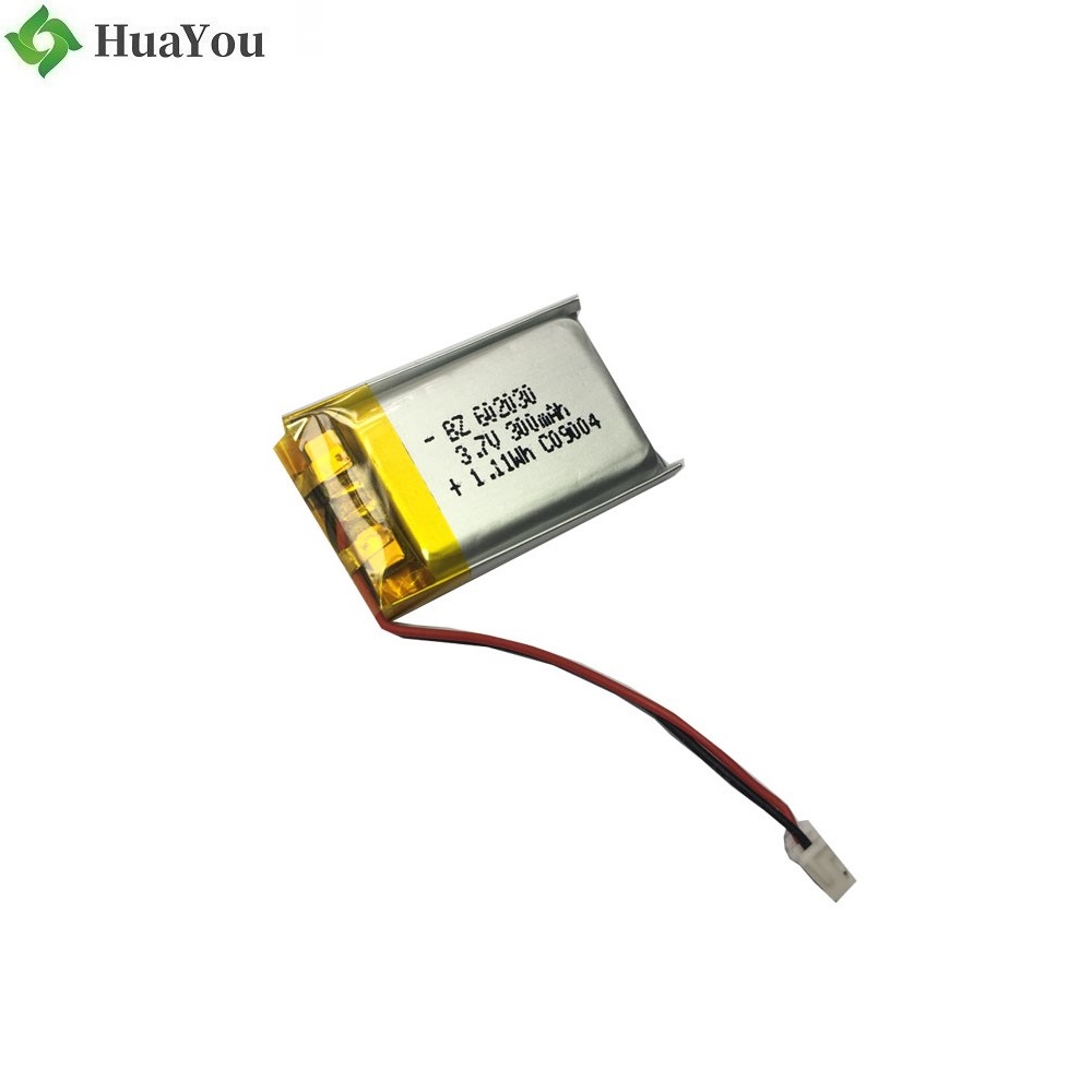 Customized Batteries