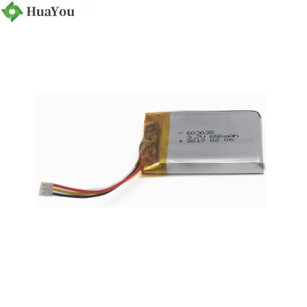 650mAh Li-Polymer Battery