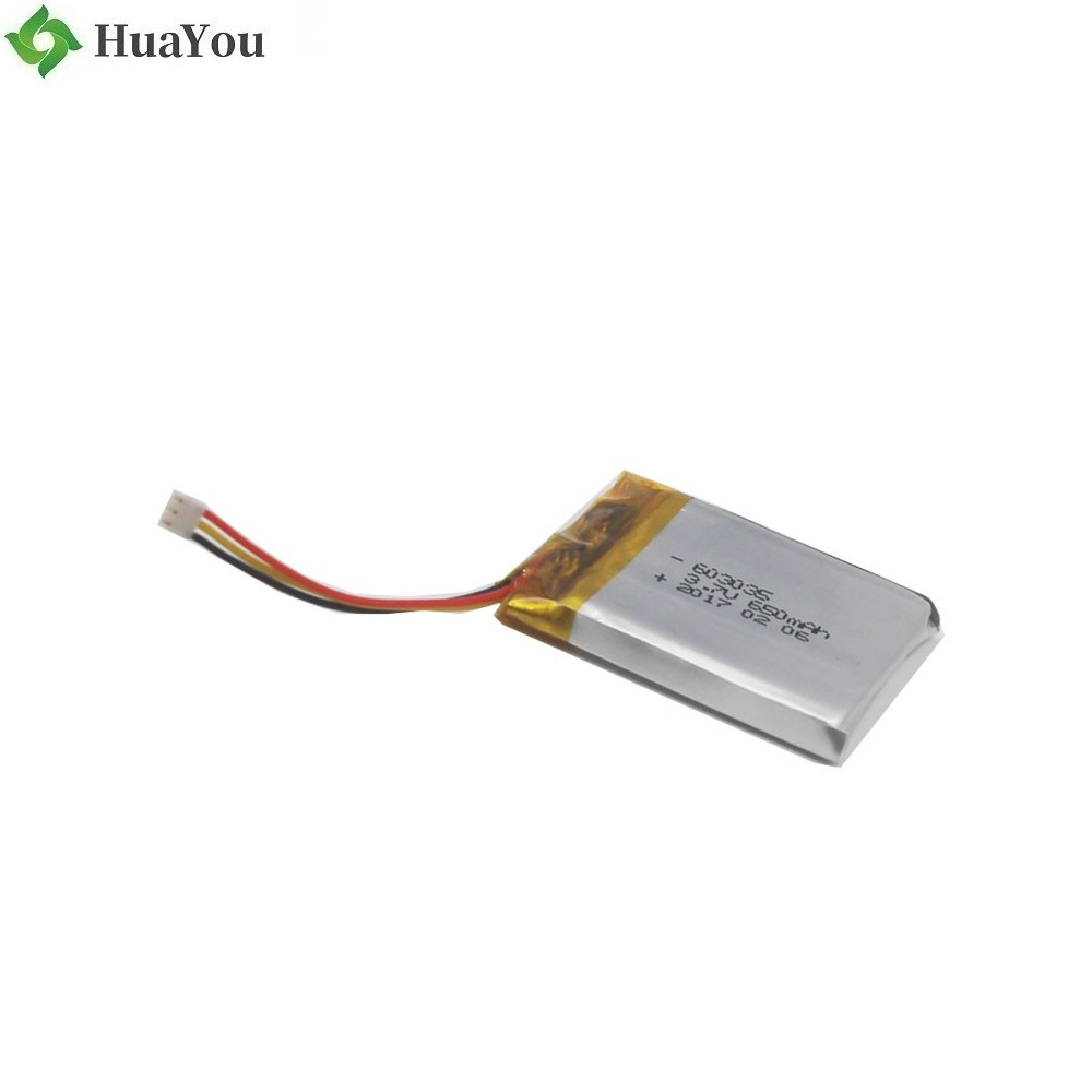 China Li-Polymer Battery