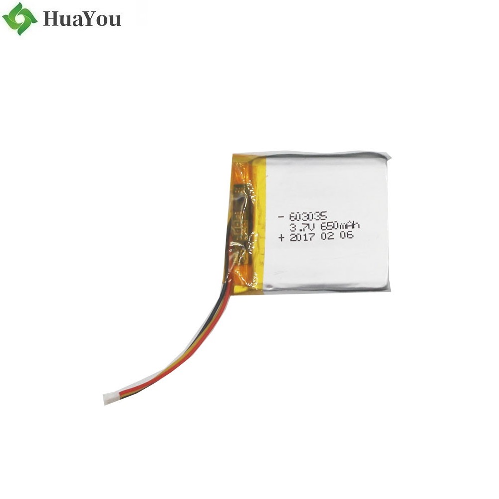 Customized Battery For Water Cup