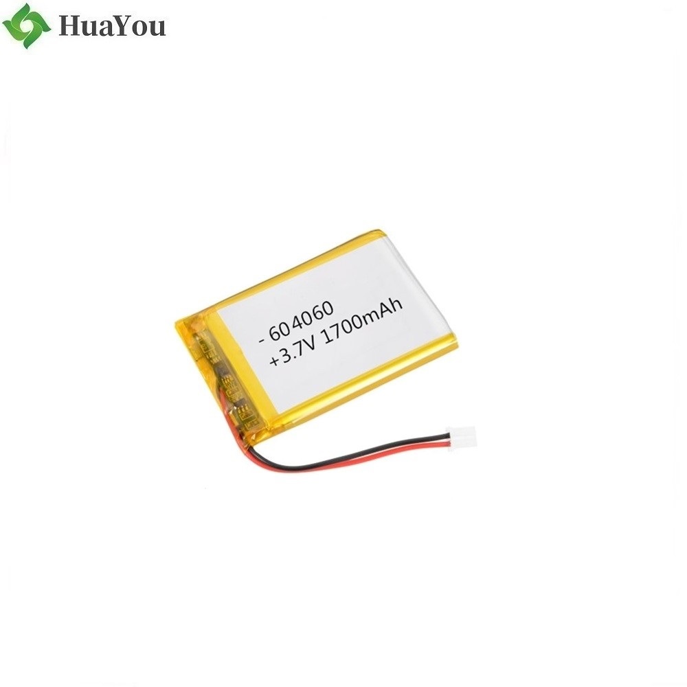 KC Certification Lipo Battery