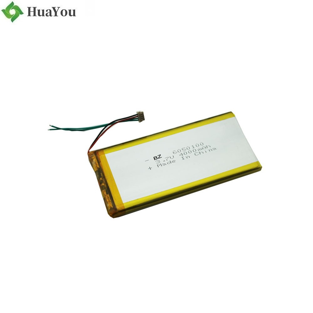 OEM Li-Polymer Battery