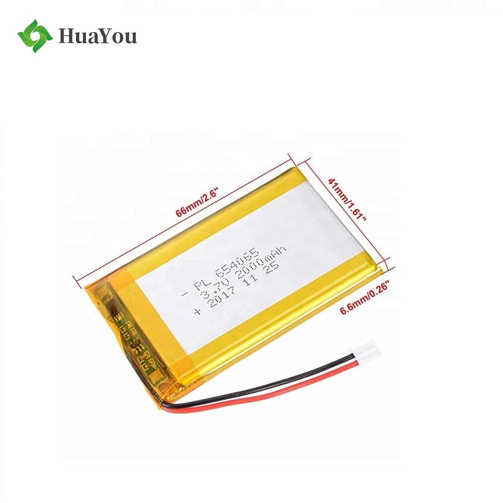 2000mAh Battery for GPS Devices