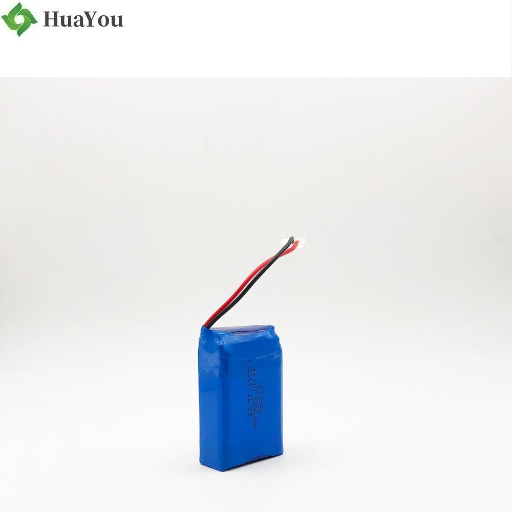 China Li-ion Battery Factory