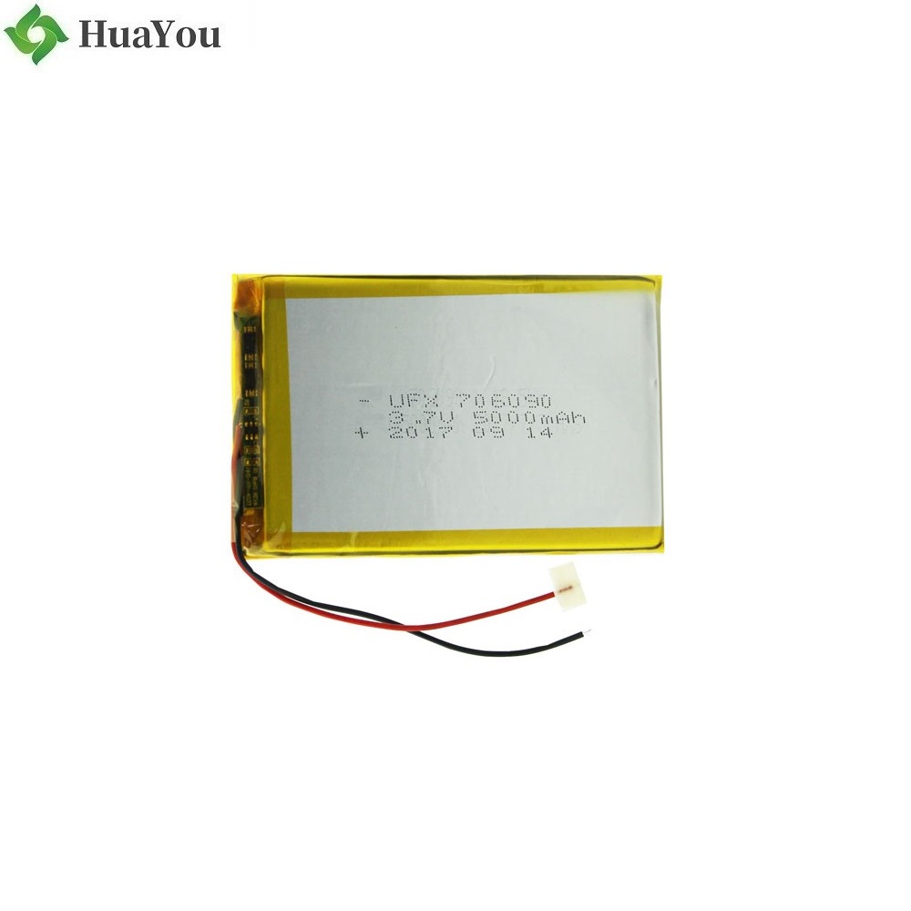 5000mah Li-Polymer Battery