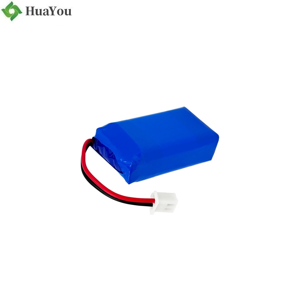 Professional Customize Battery Pack