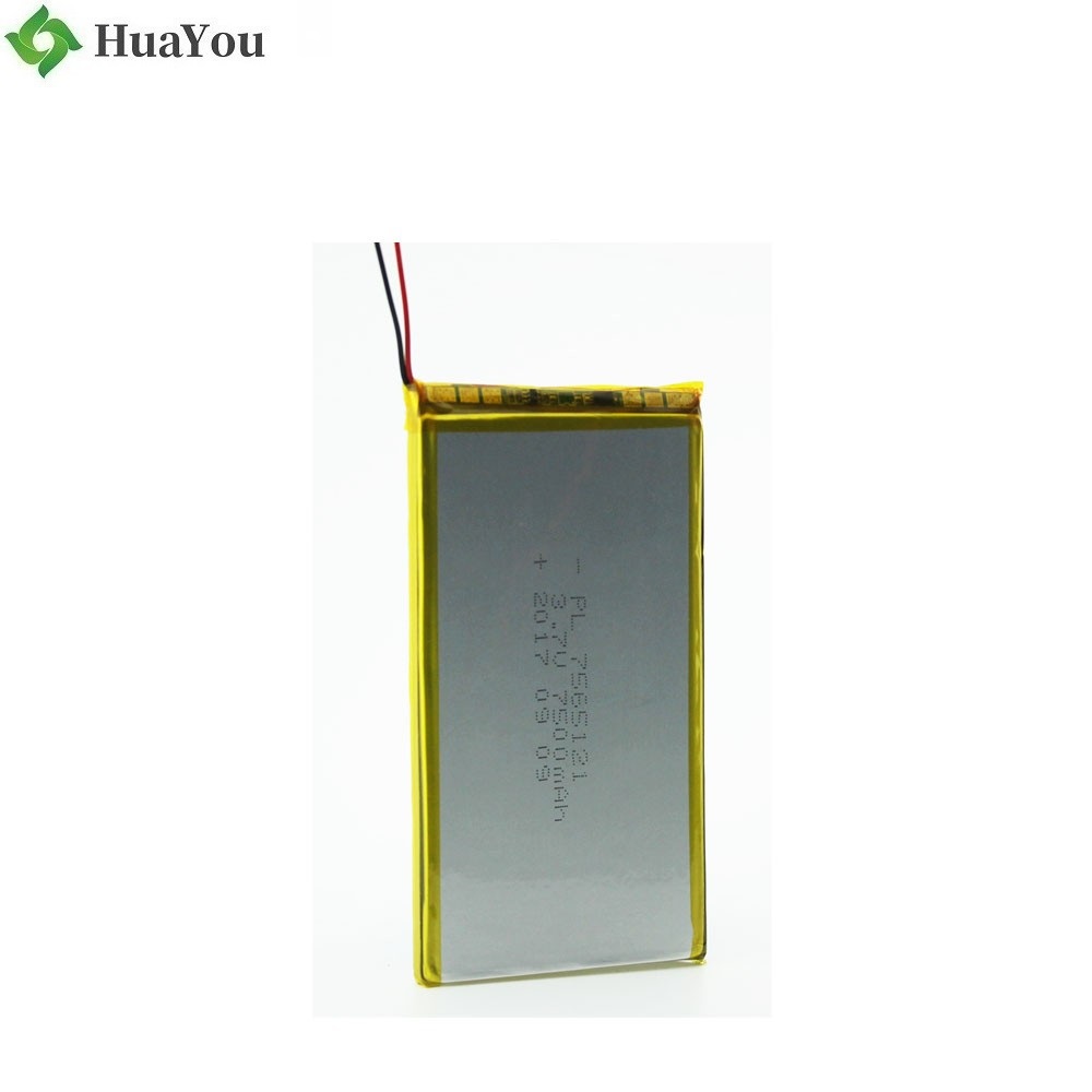  LiPo Battery