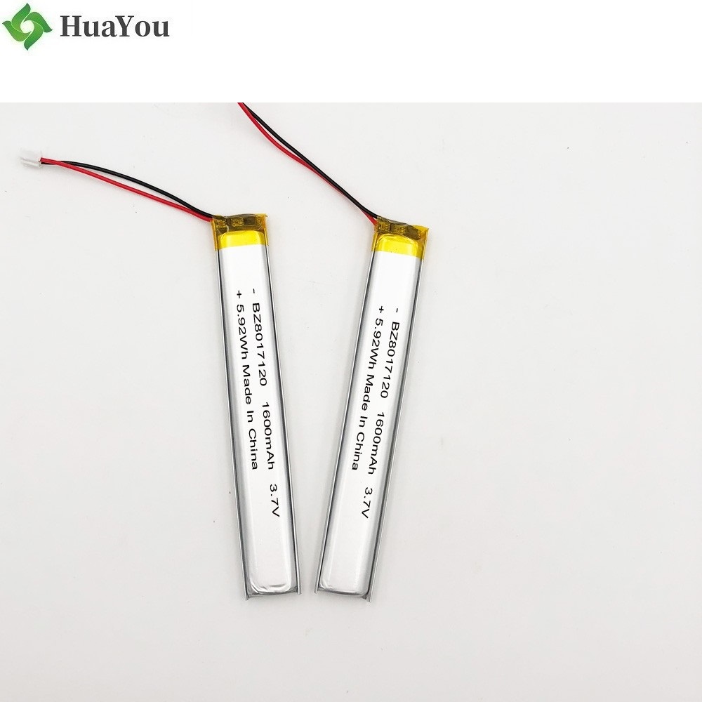 Customized Battery for Flashlight