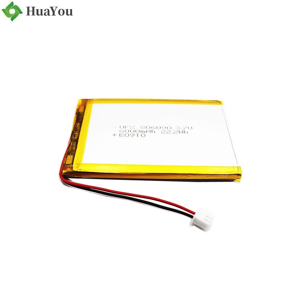 6000mAh High Capacity Li-Po Battery