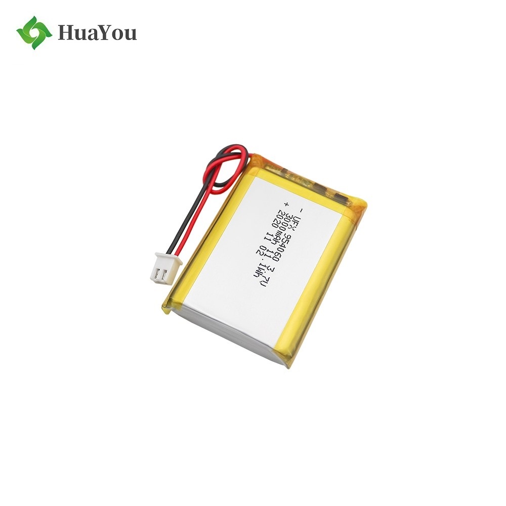 3000mAh Smart Reader Lithium Polymer Battery