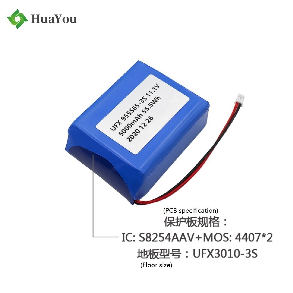 Factory Customized 5000mAh Lipo Battery